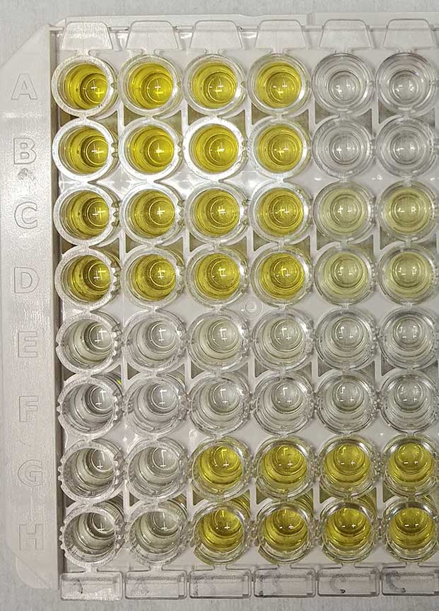 McNeil Scientific - Marlborough, MA - Lab Contracting Services | Flexible Biotech R&D Support