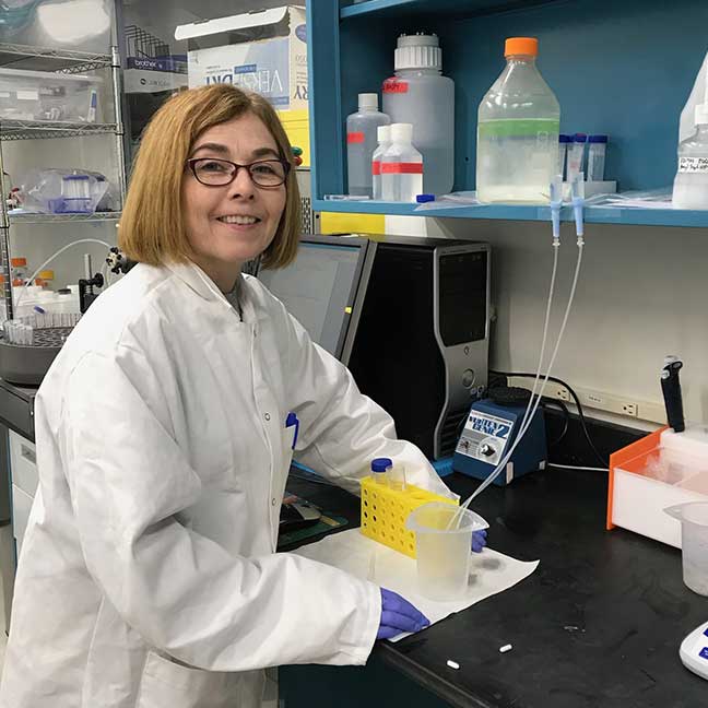 Cathy McNeil - McNeil Scientific - Laboratory Operations Manager